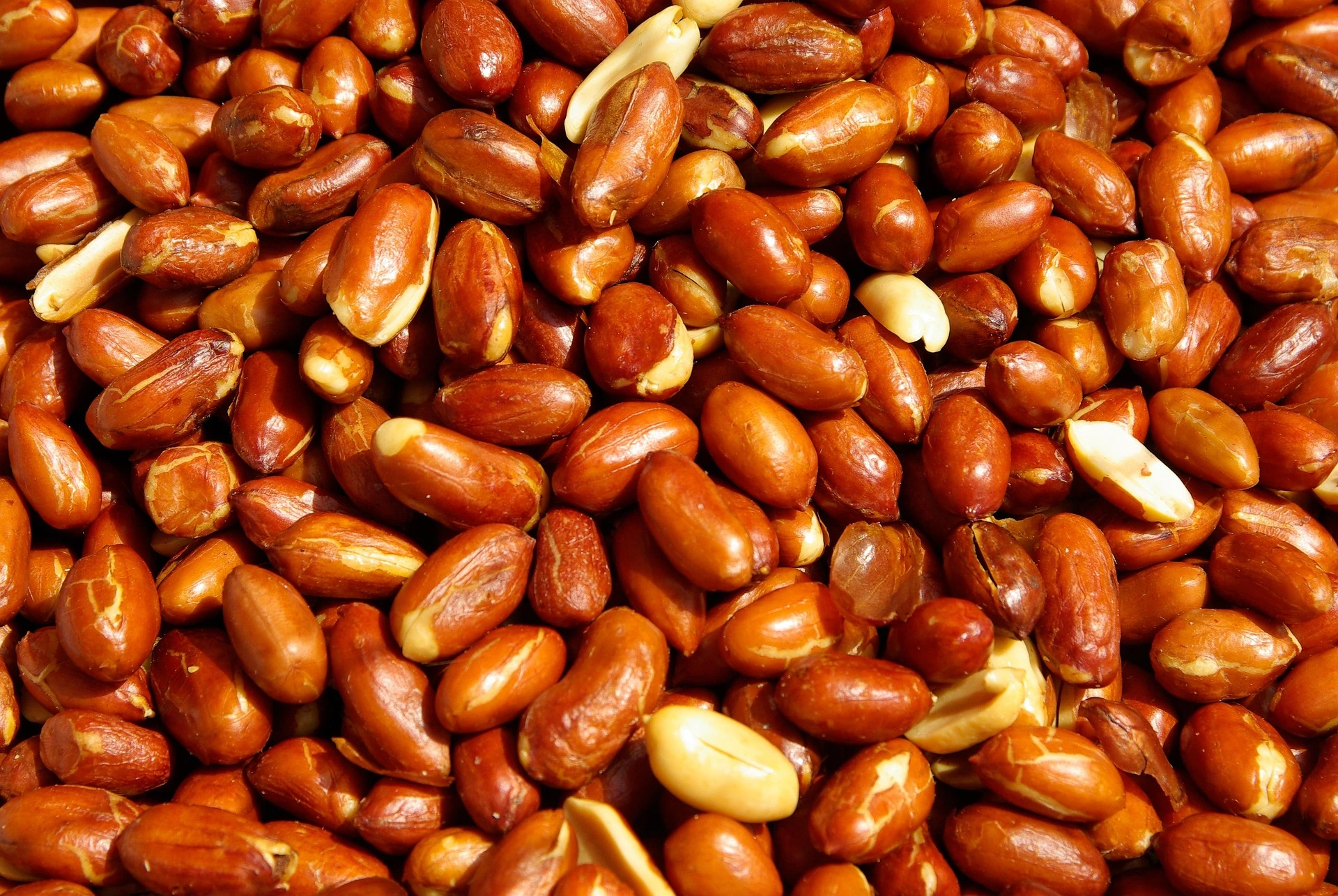 Premium Peanuts (Moongfali)